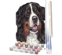 WMZPOY Peinture par numéro pour adultes Bouvier bernois suisse Kits de peinture par numéros sur toile Peinture acrylique numérique par numéros 40,6 x 50,8 cm