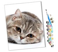 WMZPOY Peinture par numéros Kits Art pour adultes Chat gris paresseux avec pinceaux et acrylique Pigment Diy numérique pour adultes sur toile Débutant- 16 * 20 pouces sans Cadre