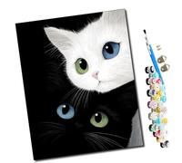 WMZPOY Peinture par numéros Kits Art pour adultes Le regard du chat noir et blanc avec pinceaux et acrylique Pigment Diy numérique pour adultes sur toile Débutant- 16 * 20 pouces sans Cadre