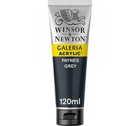 WN ACRYLIQUE GALERIA 120ML GRIS DE PAYNE