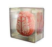 WNDUOKXH 10 pièces sous-Verres organe Cerveau spécimen Lavage des Mains Table caboteur Lisse léger carré Tasse Tapis Famille Vivant Tasses