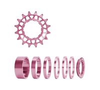 WNXGNHO Ensemble de Conversion à Dents à Vitesse Unique 16T 18T pour vélos à Plusieurs Vitesses, Cassettes à Vitesse Unique avec entretoise et Anneaux de Verrouillage Cassettes à Dents