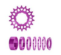 WNXGNHO Ensemble de Conversion à Dents à Vitesse Unique 16T 18T pour vélos à Plusieurs Vitesses, Cassettes à Vitesse Unique avec entretoise et Anneaux de Verrouillage Cassettes à Dents