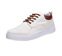 Woaikeyu Baskets Hommes Plates Low Top Canvas Chaussures de Marche à Lacets Fashion Sneakers Casual Shoes Chaussures de Sport