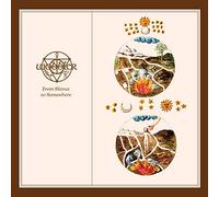 Wobbler - from Silence to Somewhere (Clear EDT.) [Import]