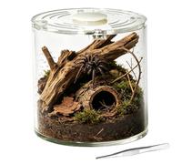 Wodesitiy Terrarium de tarantel - 10,2 x 10,2 x 2 cm ventilé, empilable, cylindrique, petit | Cage d'araignée pour reptiles - Pour tarantles, crabes d'établissement, escargotes, grenouilles