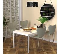 WODFARR Lot de 4 Chaises de Salle à Manger, Chaise de Cuisine, Chaises Salle Manger Empilable, Chaise de Salon, Dossier en Plastique et Pieds en Métal (Vert-4pcs)