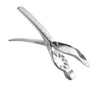 Wodsty Casse-Noisette de Cuisine en Acier Inoxydable pour Châtaignes, Pécan, Amandes et Noix - Poignée Ergonomique Anti-dérapante Pince Ouvre-Châtaigne Outil