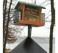 Wodsty Mangeoire pour oiseaux avec protection pour écureuil | Mangeoire pour oiseaux - Répulsif d'écureuil - Protection intégrale en plastique - 30,5 à 40,6 cm