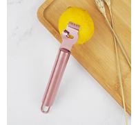 Wodsty Zesteur de citron en acier inoxydable avec poignée ergonomique pour agrumes, orange, pamplemousse, grenade