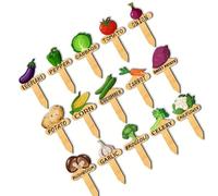 Woedpez Lot de 15 étiquettes d'identification de jardin avec impression permanente de légumes pour plantation de parterre surélevée