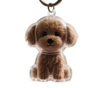 Woedpez Porte-clés commémoratif portable en forme de chien pour poils d'animaux domestiques - Boîte transparente à suspendre - Accessoires de rangement pour poils d'animaux