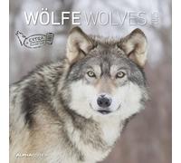 Wölfe 2025 - Broschürenkalender 30x30 cm (30x60 geöffnet) - Kalender mit Platz für Notizen - Wolves - Bildkalender - Wandplaner - Alpha Edition