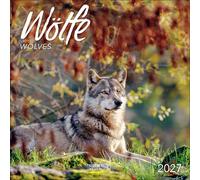Wölfe 2027: Broschürenkalender mit Ferienterminen. Fasziniernde Bilder von Wölfen. 30 x 30 cm