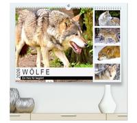 Wölfe. Ein Herz für Isegrim! (hochwertiger Premium Wandkalender 2026 DIN A2 quer), Kunstdruck in Hochglanz: Der Wolf ist ein faszinierendes Wesen zwischen Wahrheit und Märchenwelt