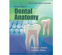Woelfels Dental Anatomy Enhanced Edition by Gabriela Weiss Rickne C. Scheid Gabriela Weiss (Auteur)