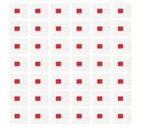 WOFASHPURET 100 Sachets Infuseurs à Thé Diffusion des Saveurs 5,8x7 Cm en Nylon Blanc Fermeture Thermoscellée, Forme Créative pour Épices et Tranches de Fruits