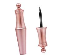 WOFASHPURET 2pièces Crayon Eye-liner Liquide Lot De Eye-liners Liquides Pour Cils Faux Outil De Maquillage Portable