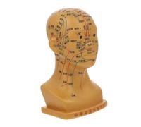 WOFASHPURET Acupuncture de Tête Médicale Outil Éducatif pour Points Acupuncture Massages Faciaux Support Apprentissage Médecine Traditionnelle Chinoise