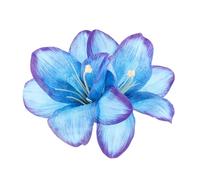 WOFASHPURET Épingle à Cheveux Fleur De Lys Coix De Cheveux De Fleur Clip De Cheveux De Fleur De Lily Pinces à Fleurs Pour Les Cheveux Pince à Cheveux Fleur Accessoires D'été Bleu Fleur De Soie