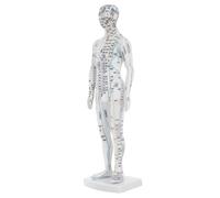 WOFASHPURET Modèle D'acupuncture du Corps Humain Masculin, Cartographie Précise des Points et Méridiens, Matériaux Solide, Outil Pédagogique pour Apprentissage et Formation en Médecine