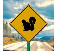 WoGuangis Panneau mural en aluminium avec inscription « Squirrel Crossing » - Panneau décoratif en forme de diamant jaune - 30,5 x 30,5 cm - Cadeau pour les amoureux des animaux - Pour rue, jardin,