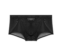 WOH-Boxer Court Personal Allure