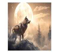 Wolf Aimant de lave-vaisselle étanche pour réfrigérateur ou armoire 58,4 x 66 cm