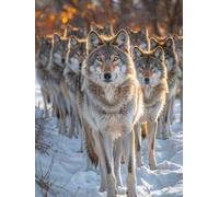 Wolf Animal,Adult 1000-piece Puzzle,Teen Boys and Girls Jigsaw Puzzles,Highly Difficult, Thick and Sturdy Puzzle,Perfect for Party Games,38x52cm