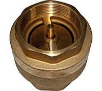 Wolf clapet anti-retour IT 2" PN10 2071483 pour LS, SLS, FWS