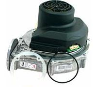 Wolf gaz match0 213695699 RG-148 Boost