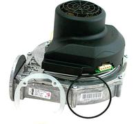 Wolf gaz match0 213695699 RG-148 Boost