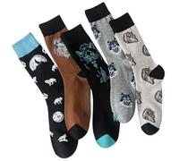 Wolf Gift Box Lot de 5 paires de chaussettes pour homme Motif loup Taille 40-45, Multicolore, 7-11