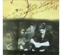 Wolf, Julie - Walk The Worn Out Floor