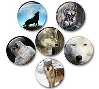 Wolf Loup Loups Gris Wolf européen - 6 Grande Réfrigérateur Aimants Ø 5,9 cm [01]