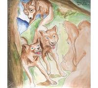 BONNIE 'PRINCE' BILLY - WOLF OF THE COSMOS (LP+MP3) VINYL LP + MP3 NEUF
