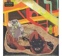 Wolf Parade - At Mount Zoomer