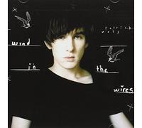 Wolf, Patrick - Wind In The Wires