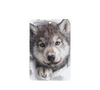 Wolf Peeking Out Of A Hole Lot de 4 désodorisants pour voiture - Cartes parfumées à suspendre - Cartes parfumées pour tablettes d'aromathérapie de voiture