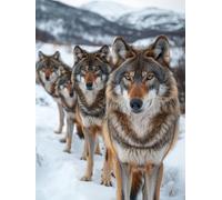 Wolf Snow Scene,1500-piece Puzzle,Paper Toys and Educational Games for Adults and Children,57x87cm