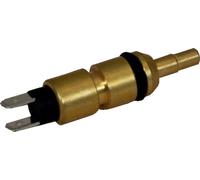 Wolf Sonde de départ 5K NTC laiton CGB(W/S)/MGK/COB, 274105899