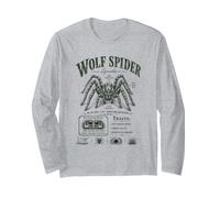 Wolf Spider Lycosidae Arachnid Natural History Manche Longue