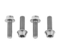 Wolf Tooth Vis De Porte-bidon M5 X 15 Mm 4 Unités