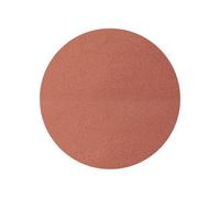 Wolfcraft Disques abrasifs auto-agrippants corindon ø 125 mm, 5 pce - 2243100