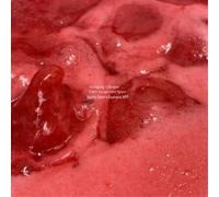 Wolfgang Tillmans – Can't Escape Into Space (Honey Djon's Euphoria Mix) – Vinyle