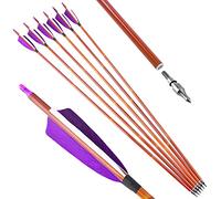 wolfman 12 Flèches Carbone Hybride SP500, Fût avec Plumes de Dindon Naturelles de 4 Pouces - Contrôle Optimal pour Compétitions Intérieures et Extérieures (Violet, Blanc)