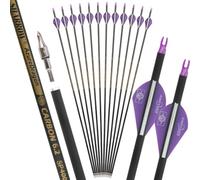 wolfman 31 "Archery Carbon Pure Arrow 500 Spine ID6.2mm Straightness +/-0.006" pour la Chasse et la Pratique de la Cible (12pcs) (Violet)
