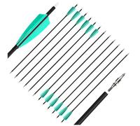wolfman Lot de 12 Flèches en Carbone de 28 Pouces, Rigidité 500 Spine, DI 6,2 mm, Plumes de Dinde, Pointes de 100 Grains pour Chasse et Tir (12)