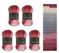 Wollbiene Summer Touch Batik 5 x 100 g de laine multicolore avec dégradé de couleur, 500 g de laine mercerisée en microfibre acrylique (506 bleu-gris rose)