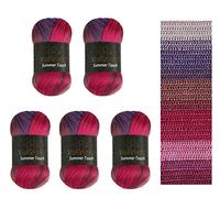 Wollbiene Summer Touch Batik Lot de 5 pelotes de laine multicolore avec dégradé de couleur, 500 g de laine mercerisée en microfibre acrylique (508 baie/violet)
